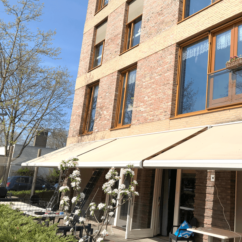 Webdesign Alkmaar, Webdesign Snel een webdesigner - Boost jouw Online Succes met onze Hulp