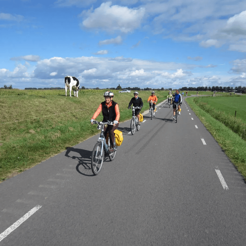 Webdesign Alkmaar, Webdesign Snel een webdesigner - Boost jouw Online Succes met onze Hulp